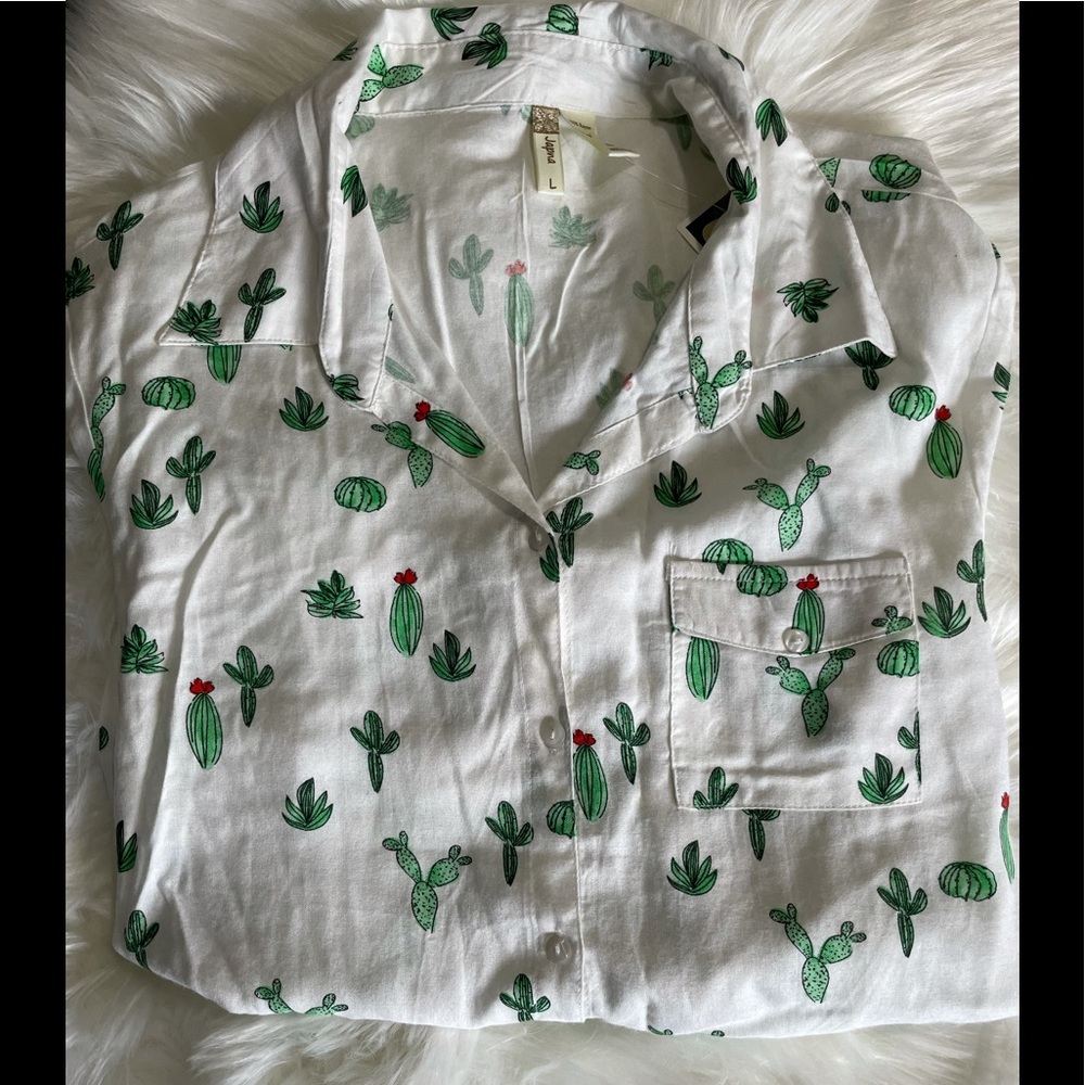 Cacti top